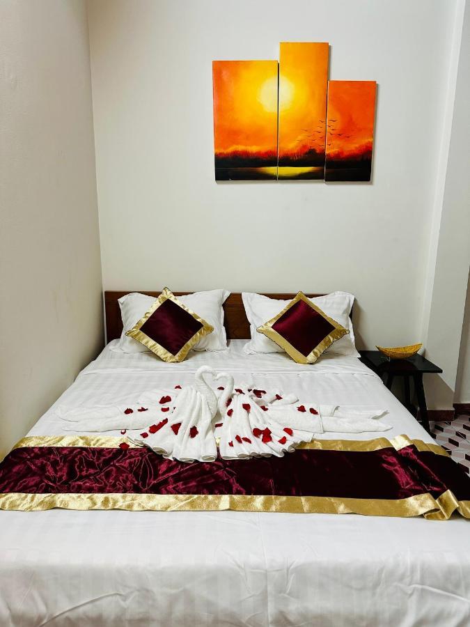 Dk House Homestay 호이안 외부 사진